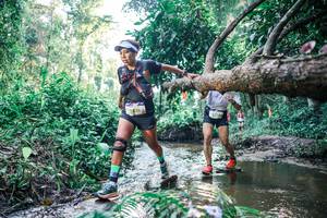 BIB: 
                            <button type="button" onclick="openModal(25433541)" class="btn btn-primary btn-sm float-right btn-popup" data-toggle="modal" data-target=".modal-high-quality">
                        <i class="fas fa-shopping-cart"></i> Add to Cart
                    </button>
                                            <button type="button" onclick="isThisMe(25433541, true)" class="btn btn-success btn-sm float-right btn-popup btn-isme hidden" data-toggle="tooltip" data-placement="bottom" title="นี่คือรูปของคุณใช่ไหม คลิกที่นี่เพื่อเอาเข้าอัลบั้ม">
                        <i class="fas fa-plus"></i> Add to album
                    </button>
                    <button type="button" onclick="isThisMe(25433541, false)" class="btn btn-warning btn-sm float-right btn-popup btn-isnotme hidden">
                        <i class="fas fa-ban"></i> Remove from album
                    </button>